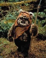Warwick Davis 05