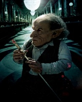 Warwick Davis 10